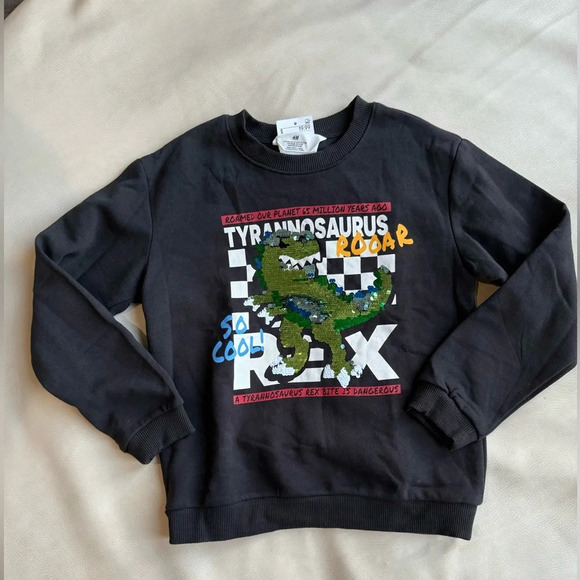H&M Other - H&M dinosaur crewneck sweater